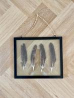 *NIEUW!* Wanddecoratie parelhoender veren schilderij in glas, Ophalen of Verzenden, Nieuw