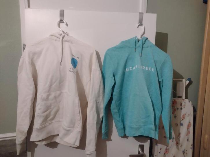 2x Hoody van Suzan en Freek, Kleding | Dames, Truien en Vesten, Zo goed als nieuw, Maat 34 (XS) of kleiner, Overige kleuren, Ophalen of Verzenden