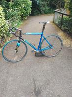GIANT TCR FRAME L 56 CM 18 VERSNELLINGEN GEHEEL VAN CARBON, Ophalen, Zo goed als nieuw, Overige typen