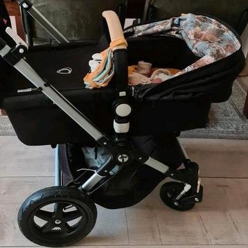 Prachtige bugaboo beschikbaar voor biedingen