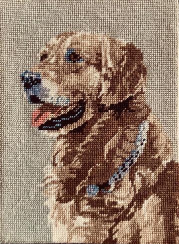 Borduurwerk, wol, hond, golden retriever, vintage beschikbaar voor biedingen