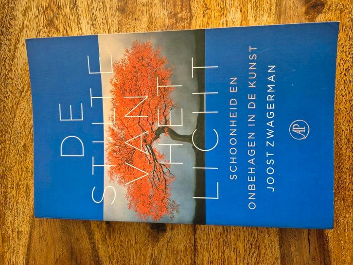 Joost Zwagerman - De stilte van het licht, Boeken, Overige Boeken, Zo goed als nieuw, Ophalen of Verzenden