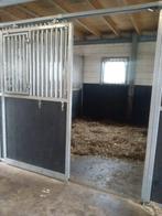 Paarden / Pony stal te huur, Weidegang