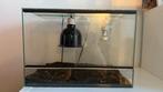 Reptilien Terrarium Beginner 50x40x40, Ophalen, Zo goed als nieuw, Terrarium of Paludarium