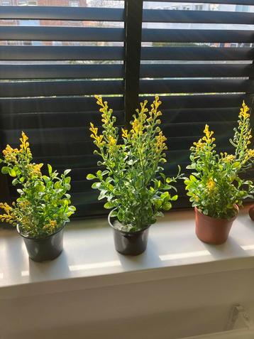 3x Kunstplanten - Groen beschikbaar voor biedingen