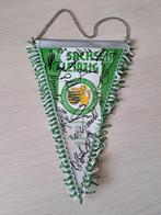Vaantje FC Sachsen Leipzig met handtekeningen, Ophalen of Verzenden, Zo goed als nieuw, Buitenlandse clubs, Vaantje of Sjaal