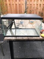 Aquarium Ciano 60 x 30 x 30, Dieren en Toebehoren, Vissen | Aquaria en Toebehoren, Ophalen, Zo goed als nieuw, Leeg aquarium