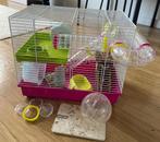 Hamsterkooi met accessoires, Kooi, Gebruikt, Minder dan 75 cm, Hamster