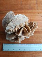 Woestijnroos - 880 gram, Verzamelen, Mineralen en Fossielen, Ophalen