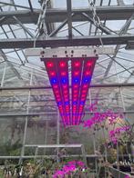 Kweeklamp LED - blauw & rood, Ophalen, Gebruikt, Kweeklamp