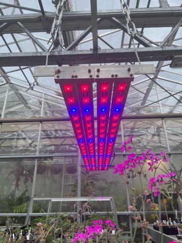 Kweeklamp LED - blauw & rood beschikbaar voor biedingen