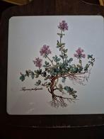 Villeroy & Boch Botanica Snijplank, Ophalen of Verzenden, Gebruikt, Bord