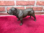 levensecht bronzen beeldje, stoere Engelse bulldog, Antiek en Kunst, Ophalen of Verzenden