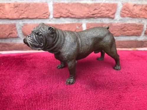 levensecht bronzen beeldje, stoere Engelse bulldog, Antiek en Kunst, Kunst | Beelden en Houtsnijwerken, Ophalen of Verzenden