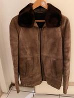 Lammy coat bomberjack, Bruin, Maat 48/50 (M), Ophalen of Verzenden, Toppic