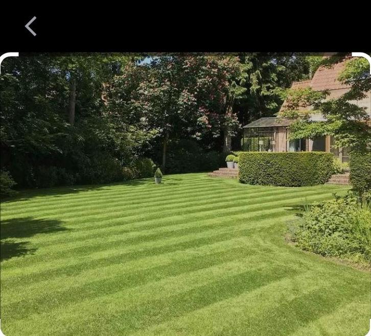 Tuinman / Tuinhulp, Diensten en Vakmensen, Tuinmannen en Stratenmakers
