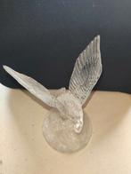 Kristallen Adelaar met Vis, Ophalen