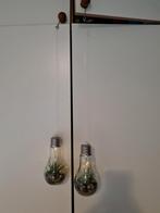 Plant Sier Hang Lampen met Licht, Huis en Inrichting, Ophalen of Verzenden, Nieuw, Minder dan 50 cm