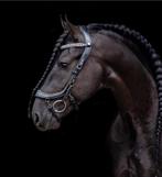 Presteq Faysport hoofdstel Cob, Dieren en Toebehoren, Ophalen of Verzenden, Zo goed als nieuw, Dressuur