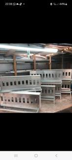 Drinkbakken duiven, Geslacht onbekend, Postduif