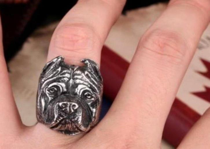 Pitbull ring, Sieraden, Tassen en Uiterlijk, Ringen, Nieuw, Heer, 20 of groter, Zilver, IJzer of Staal, Verzenden