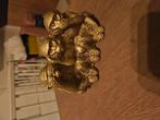 Gouden accessoires set! Beeldjes, fruitschaal, kandelaar, Huis en Inrichting, Ophalen of Verzenden