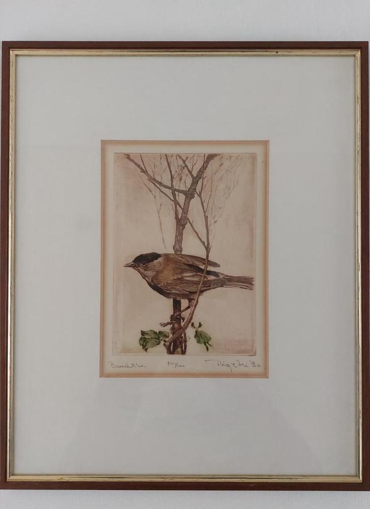 Vogel Thigetu - Ingelijste Ets, Antiek en Kunst, Kunst | Etsen en Gravures, Ophalen of Verzenden