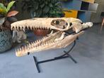 Mosasaurus schedel, Ophalen of Verzenden, Overige typen