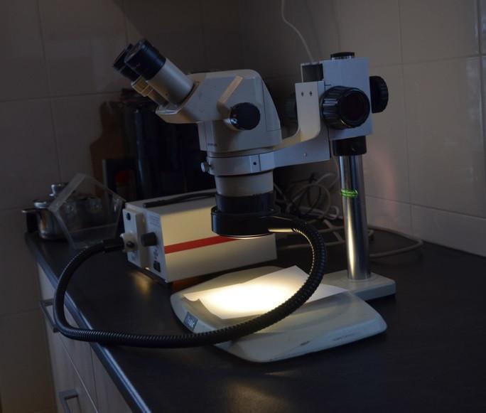 Microscoop Olympus GSWH 20x12,5, Audio, Tv en Foto, Optische apparatuur | Microscopen, Zo goed als nieuw, Stereomicroscoop, Ophalen of Verzenden