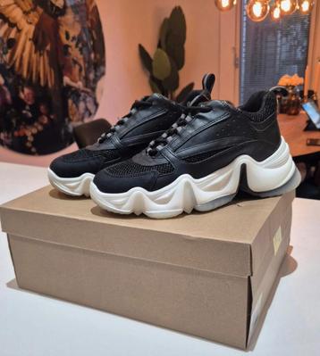 Steve Madden City Soul sneakers – maat 38 (US 7.5) beschikbaar voor biedingen