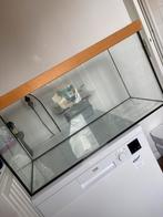 terrarium, Dieren en Toebehoren, Knaagdieren en Konijnen | Hokken en Kooien, Minder dan 60 cm, Ophalen of Verzenden, Zo goed als nieuw