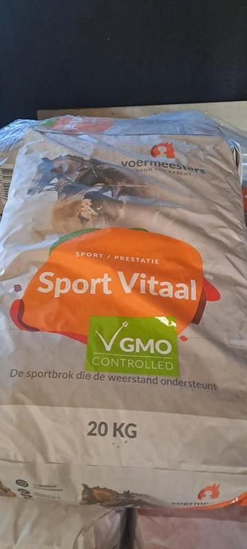 Paardensport brok voermeester  beschikbaar voor biedingen