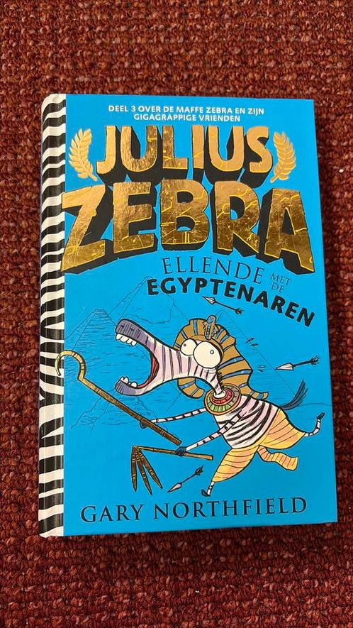 Gary Northfield - Ellende met de Egyptenaren, Boeken, Kinderboeken | Jeugd | onder 10 jaar, Zo goed als nieuw, Ophalen