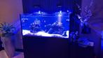 RedSea 425XL G2 + alle benodigdheden!, Dieren en Toebehoren, Ophalen, Zo goed als nieuw