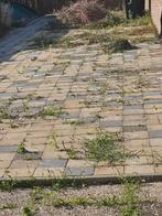 Gratis, Tuin en Terras, Tegels en Klinkers, Ophalen, Gebruikt, 10 m² of meer, Beton