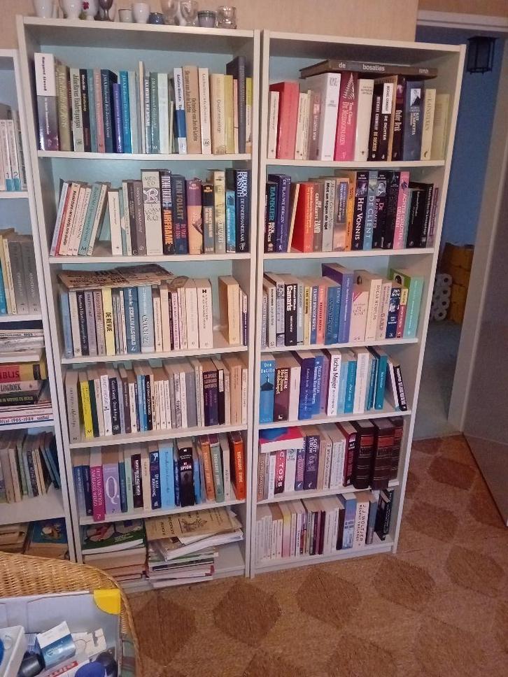 billy boekenkast, Huis en Inrichting, Kasten | Boekenkasten, Gebruikt, 50 tot 100 cm, 150 tot 200 cm, 25 tot 50 cm, Ophalen