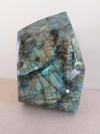 LABRADORIET BLUE FLASH, Ophalen of Verzenden