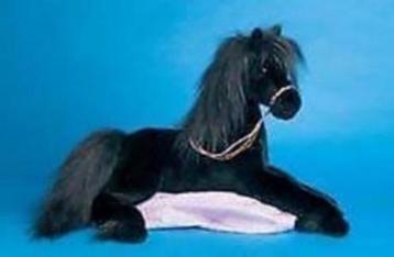 zoek Fries paardje Happy Horse beschikbaar voor biedingen