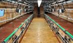 GEA Melkstal Melkmachine Westfalia 2x9, Ophalen, Veehouderij, Melktechniek