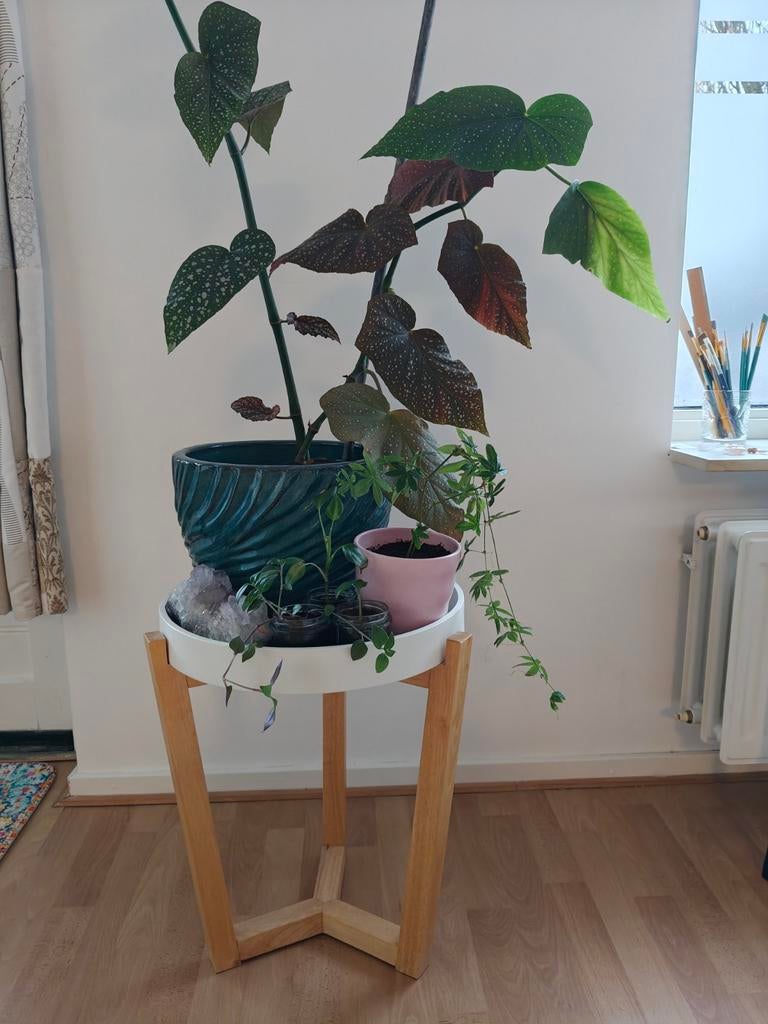 Planten/bijzet tafel, Huis en Inrichting, Tafels | Bijzettafels, Minder dan 55 cm, Rond, Zo goed als nieuw, Ophalen