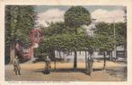 KJ359 Borger Wilhelminaboom met Geref Kerk  1930, Verzenden, 1920 tot 1940, Gelopen, Drenthe