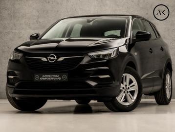 Opel Grandland X 1.2 Turbo Sport Automaat (APPLE CARPLAY, GR beschikbaar voor biedingen