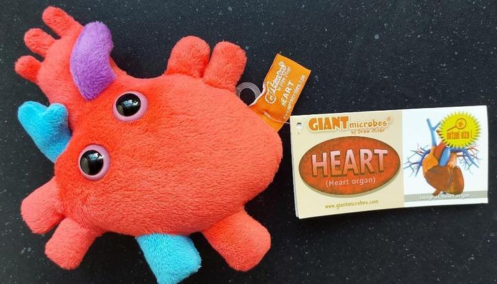 hart pluche, Kinderen en Baby's, Speelgoed | Knuffels en Pluche, Nieuw, Overige typen, Ophalen of Verzenden