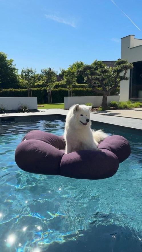 Drijvende luxe zitzak bloem, Tuin en Terras, Zwembad-toebehoren, Nieuw, Overige typen, Ophalen of Verzenden