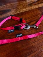 Puppy halsband + riem, Ophalen, Zo goed als nieuw