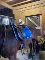 Bruin wow zadel, Dieren en Toebehoren, Ophalen of Verzenden, Zo goed als nieuw, Dressuur