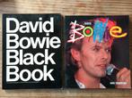 2x David Bowie, Ophalen of Verzenden, Gelezen