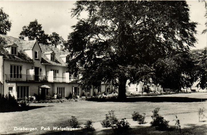 Driebergen, Park Welgelegen - ongelopen, Verzamelen, Ansichtkaarten | Nederland, Ongelopen, Utrecht, Voor 1920, Ophalen of Verzenden
