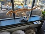 Luxe 3D-geprint Dinosaurus Skelet – 135 cm x 53 cm – Uniek, Ophalen, Nieuw