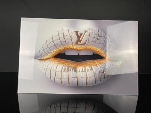 Luxe LV lip plexiglass schilderij, Antiek en Kunst, Kunst | Schilderijen | Modern, Ophalen of Verzenden
